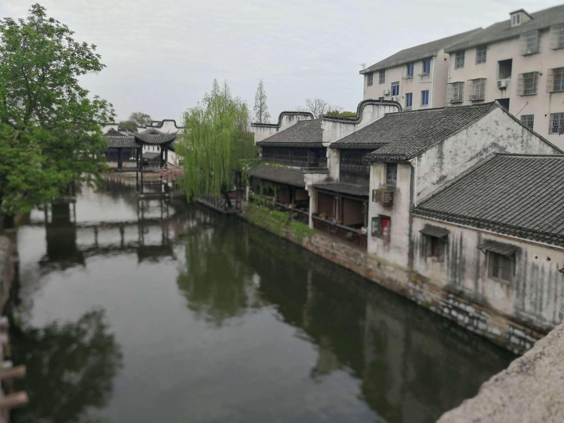 悲伤兔大冒险